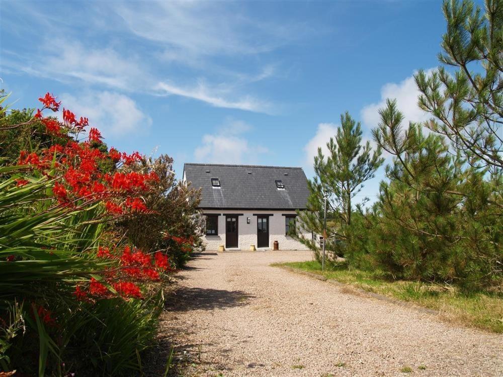 Cockshead Cottage Saint Dogmaels 외부 사진